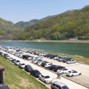 단양구경시장 이미지