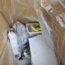 고성텃밭영농조합법인 이미지