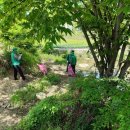 제천어번케어센터 이미지