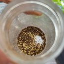 진하막썰어횟집 이미지