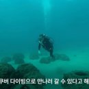 신기수목장 이미지