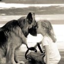 아이페티앙 이미지