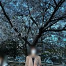 [영등포] 2025 여의도 벚꽃축제 후기ㅣ개화 상황, 기간, 위치, 먹거리
