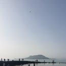 협재민박