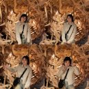 청풍원휴게소 | 충청도와 강원도 사이