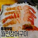 부산 동래 독도새우 맛집 월천장어구이 꽃새우 닭새우 후기