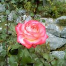 어떤하루2 이미지