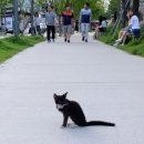 경의선숲길공원 이미지