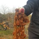 강산슈퍼 이미지