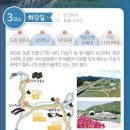 자등 1리 이미지