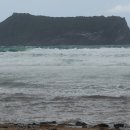 신양테마파크 이미지