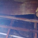 약목목욕탕 이미지