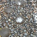 남해-87 | 코리아둘레길 110회 20250111 남파랑길 87코스 화흥초등학교에서 완도해조류센터까지