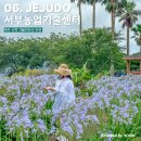 농업기술센터 농업기술과 화장실 | 제주 서쪽 가볼만한곳 서부농업기술센터