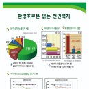 천연벽지