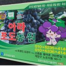 박지원농장 Daum카페