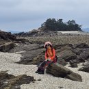 학암포항 이미지