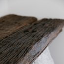 소요소림 이미지