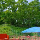 가평 자연민박 이미지