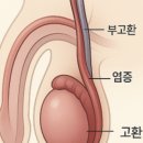 헬로닥터원의원 이미지