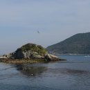 삼호교민박 이미지