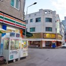 왕마포갈매기