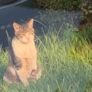 강당골마을 이미지