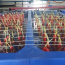 명성자원 이미지