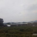 철원반점 이미지