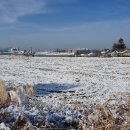 춘천 3M도로 전원부지(산천리)-【1억 7,400만원】 이미지