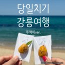 강문소소담 | [국내] 당일치기 뚜벅이 강릉여행ღ l 우정여행 l 일정공유