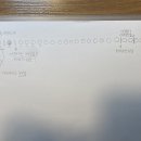 대통령 선거 일정 질문 있습니다 이미지