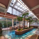 더마레 104 이미지