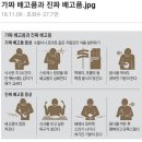 유용한 짤 모음 이미지