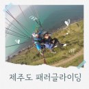 하늘 | 제주도 패러글라이딩 가격 서우봉 애견동반 제주바다하늘후기