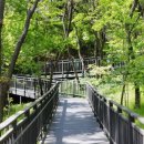 봉산2로 이미지