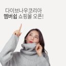 다이브나우