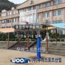 진부초등학교 이미지