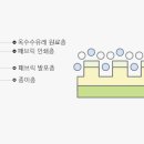 지아건축디자인