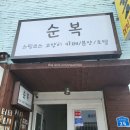 천안 쌍용동 스핑크스 고양이 카페 순복이네 후기(천안 이색데이트 실내데이트 추천)