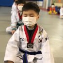 베스트 태권도 이미지