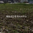 용안면행정복지센터 이미지