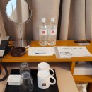 호텔109 | 도쿄 시부야 도큐레이 호텔 더블룸 후기 (조식은 2500엔, 시부야역 1분 거리)