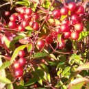 남천식품 이미지