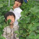 이소영피아노학원 이미지