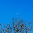 라임테이블 | 용인 라임그라스 대형 카페 피크닉 불멍존 두쫀쿠 후기