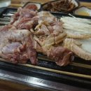 삼대농원 티스토리