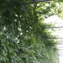 주철농장 이미지