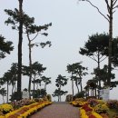 유림푸드 이미지