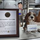 설악한우6 이미지